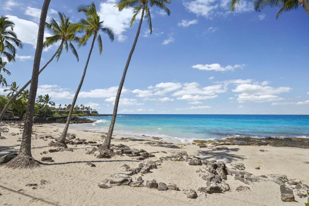 Hawaiian-Style Oceanview Across The Street From Historic Magic Sands Beach Park - White Sands Village 202 Kailua-Kona Eksteriør billede